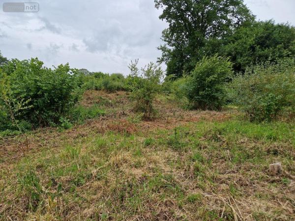 Terrain à Batir à vendre à Lizio dans le Morbihan (56460), ref : 56050-621