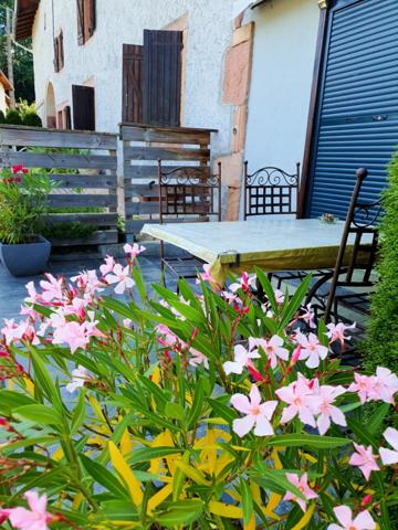 Dpt Vosges (88), à vendre proche GERARDMER - DOMAINE - FERME rénovée T6 + 3 GITES - Spe INVESTISSEURS
