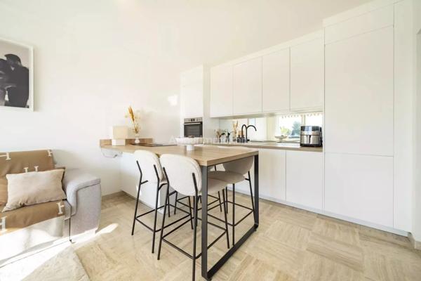 Vente Appartement 3 pièces 50 m2 à Villeneuve-Loubet