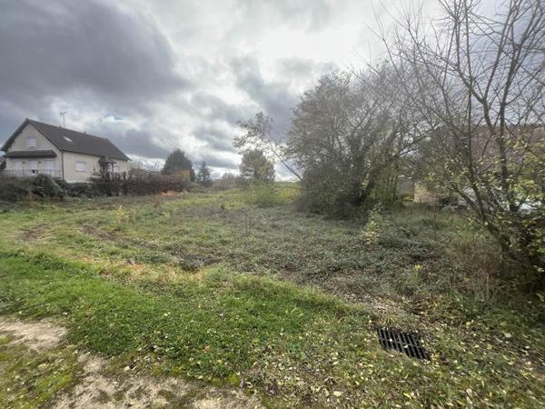 Terrain à vendre |  Chémery |  5903 m²