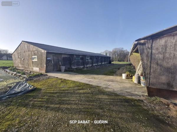 Propriete à vendre à Mortain-Bocage dans la Manche (50140), ref : 8473