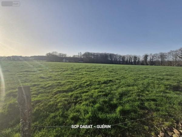 Propriete à vendre à Mortain-Bocage dans la Manche (50140), ref : 8473