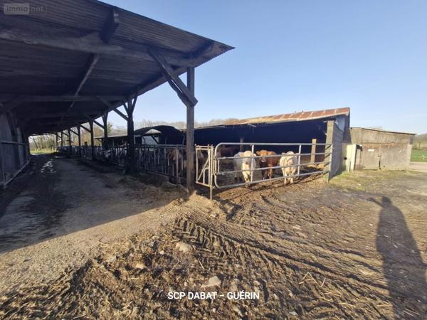 Propriete à vendre à Mortain-Bocage dans la Manche (50140), ref : 8473