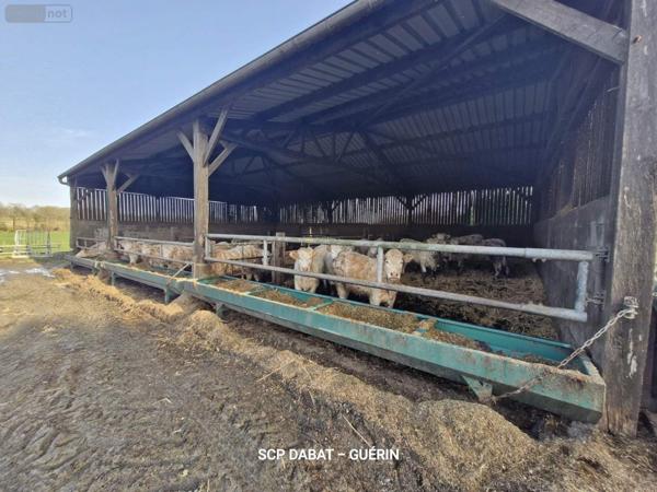 Propriete à vendre à Mortain-Bocage dans la Manche (50140), ref : 8473