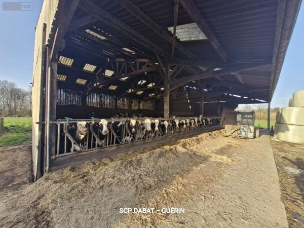 Propriete à vendre à Mortain-Bocage dans la Manche (50140), ref : 8473