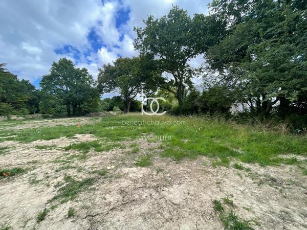 SARZEAU Terrain 622 m²