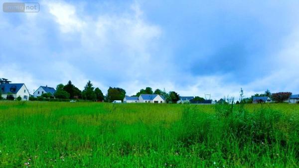 Terrain à Batir à vendre à Le Coudray-Macouard dans le Maine-et-Loire (49260), ref : 49076-288