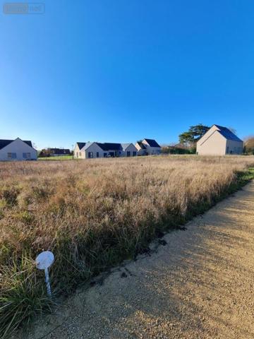 Terrain à Batir à vendre à Le Coudray-Macouard dans le Maine-et-Loire (49260), ref : 49076-288