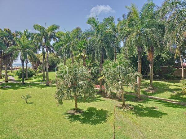 Appartement de 19,97 m²