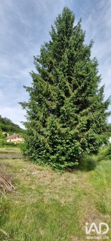 Terrain à vendre 2 703 m² Jeuxey
