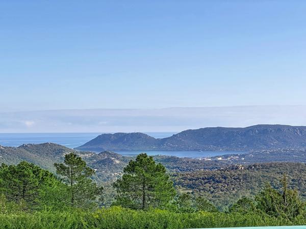 Maison à vendre  10 pièces - 320 m2 PORTO VECCHIO - 201