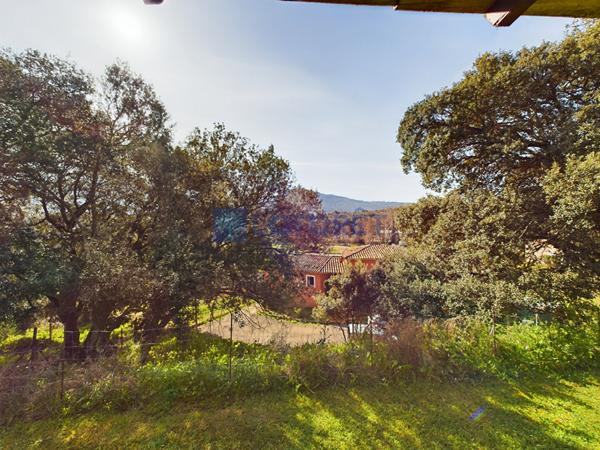 Achat maison Bastelicaccia - 8 pièce(s) - 230 m² - 785 000 €