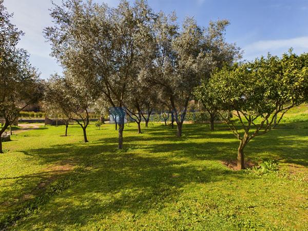 Achat maison Bastelicaccia - 8 pièce(s) - 230 m² - 785 000 €