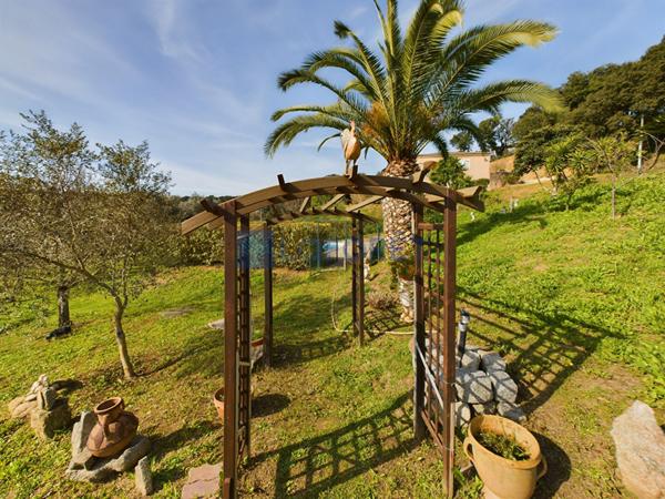 Achat maison Bastelicaccia - 8 pièce(s) - 230 m² - 785 000 €