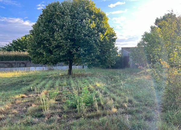 Terrain à vendre    379 m2 Dolus-d'Oléron