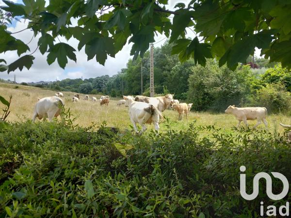 Maison à vendre 6 pièces 156 m² Saint-Martin-Boulogne