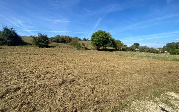 Terrain à vendre    Villebrumier