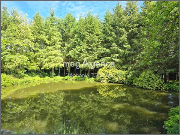 Terrain à SAINT-MARS-SUR-LA-FUTAIE, 53220 - 30695m²