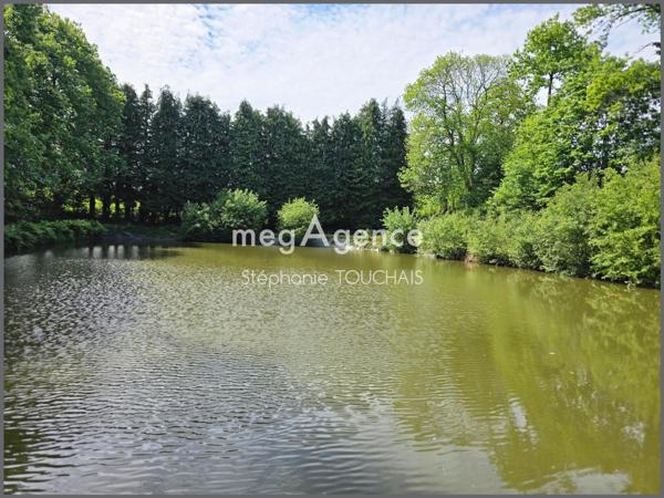 Terrain à SAINT-MARS-SUR-LA-FUTAIE, 53220 - 30695m²