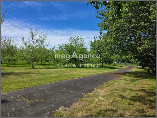 Terrain à SAINT-MARS-SUR-LA-FUTAIE, 53220 - 30695m²
