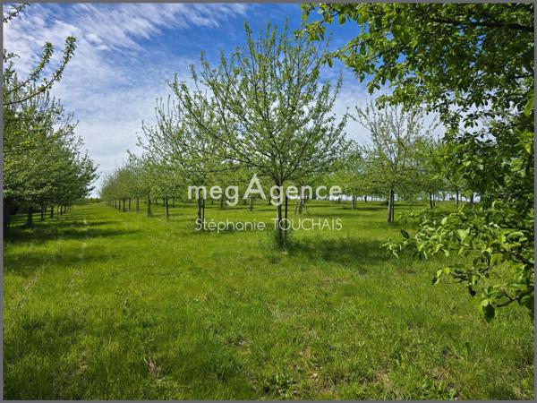 Terrain à SAINT-MARS-SUR-LA-FUTAIE, 53220 - 30695m²