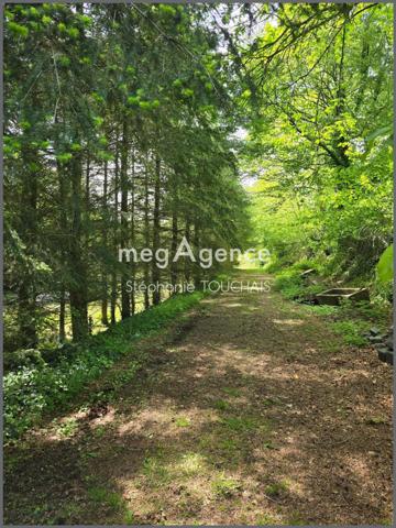 Terrain à SAINT-MARS-SUR-LA-FUTAIE, 53220 - 30695m²