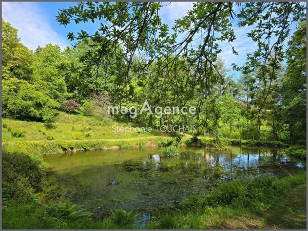 Terrain à SAINT-MARS-SUR-LA-FUTAIE, 53220 - 30695m²