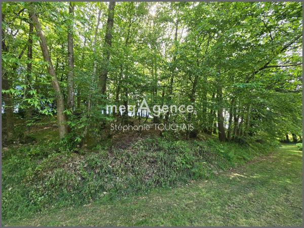 Terrain à SAINT-MARS-SUR-LA-FUTAIE, 53220 - 30695m²