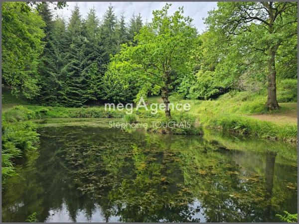 Terrain à SAINT-MARS-SUR-LA-FUTAIE, 53220 - 30695m²