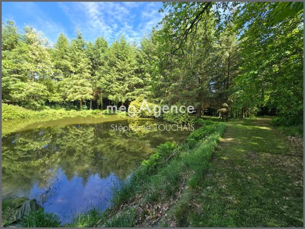 Terrain à SAINT-MARS-SUR-LA-FUTAIE, 53220 - 30695m²