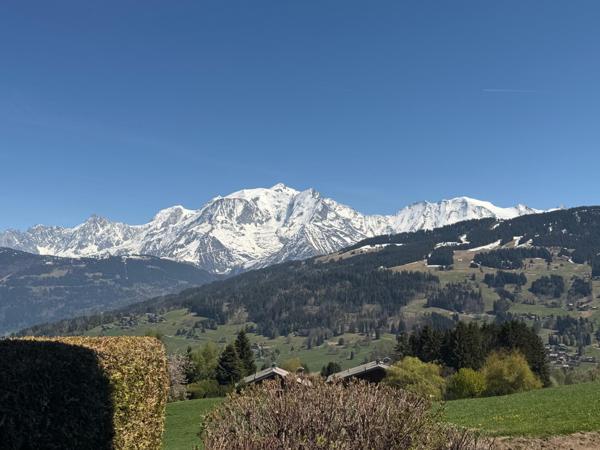Vue panoramique sur le Mont-Blanc, localisation, environnement calme
