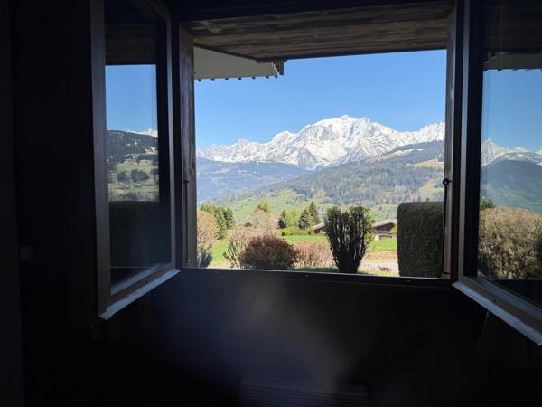 Vue panoramique sur le Mont-Blanc, localisation, environnement calme