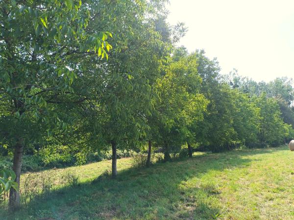 Ferme périgourdine avec dépendances et pré à Bergerac