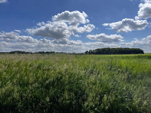 Terrain à vendre de 867,00 m² PORCHEUX (60)