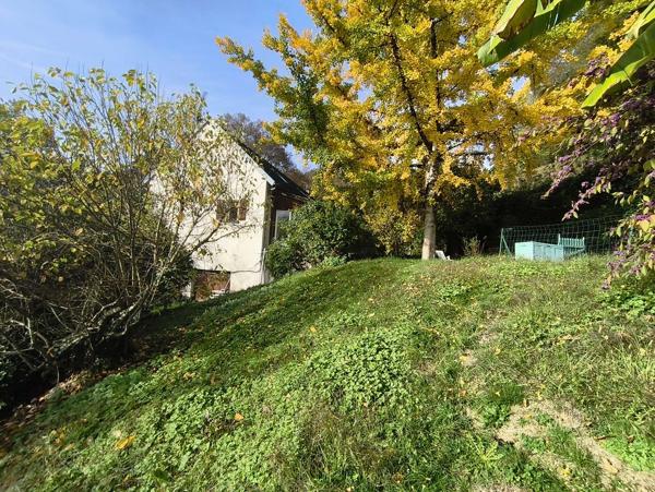 Ancienne ferme rénovée – 6 chambres, piscine et vue nature – Tulle