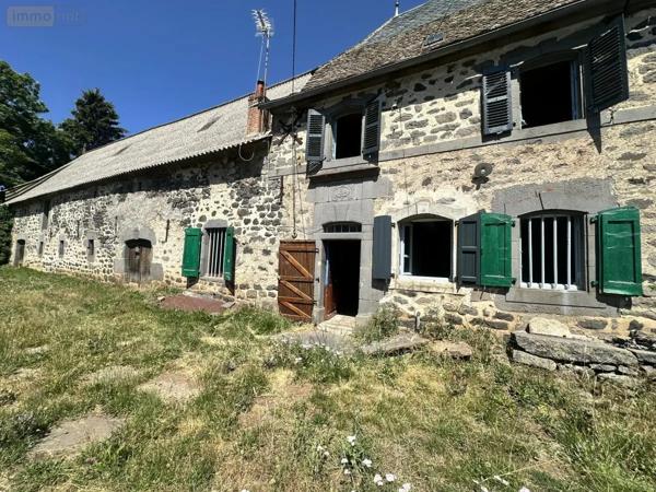 Achat - Maison Neuvéglise-sur-Truyère 15260 90 m 2 730 m 2