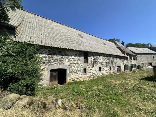 Achat - Maison Neuvéglise-sur-Truyère 15260 90 m 2 730 m 2