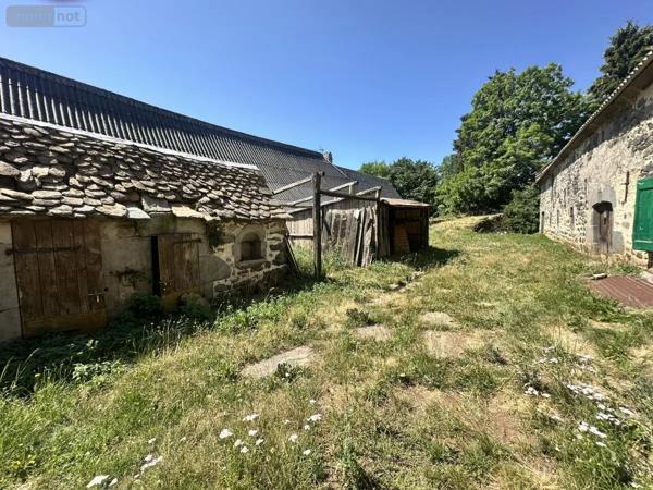 Achat - Maison Neuvéglise-sur-Truyère 15260 90 m 2 730 m 2
