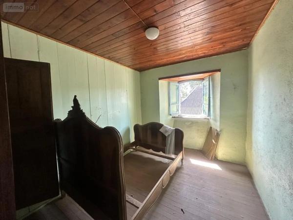 Achat - Maison Neuvéglise-sur-Truyère 15260 90 m 2 730 m 2