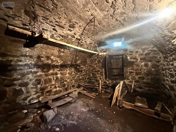 Achat - Maison Neuvéglise-sur-Truyère 15260 90 m 2 730 m 2