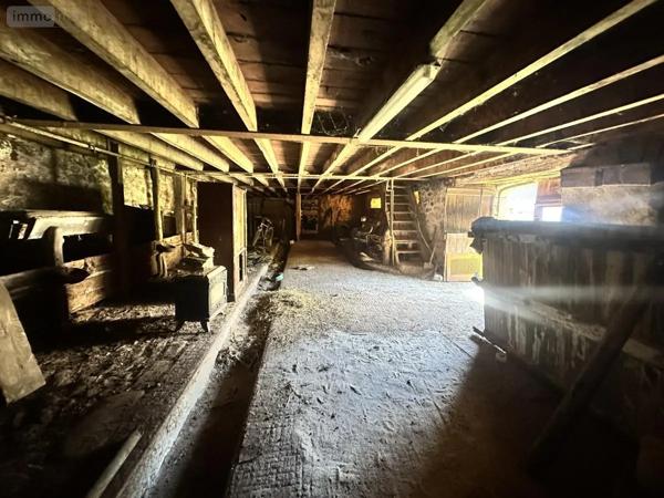 Achat - Maison Neuvéglise-sur-Truyère 15260 90 m 2 730 m 2