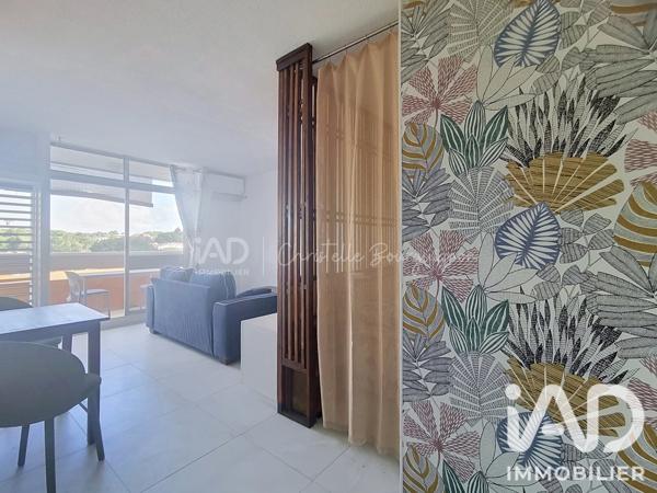 Location studio 35 m² Pointe-à-Pitre