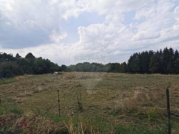 Terrain  en vente - Moselle - 57