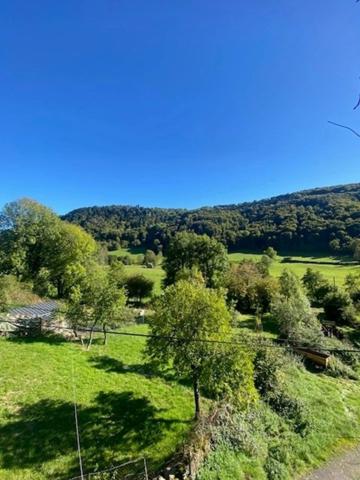 Maison de campagne à vendre 3 pièces proche de Salers (15)