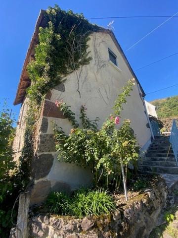 Maison de campagne à vendre 3 pièces proche de Salers (15)