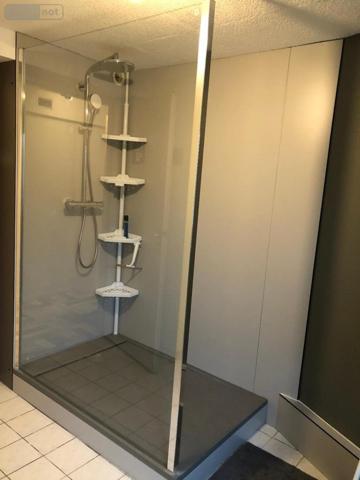 Appartement à louer à Dole dans le Jura (39100), ref : 39033-L447