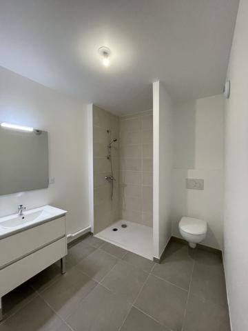 Appartement type 4 hyper centre