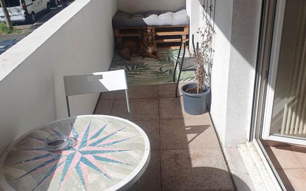 Appartement à louer    2 pièces •  Montpellier