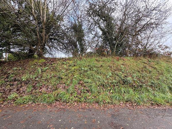 Terrain Constructible Guerlesquin 8180 m2