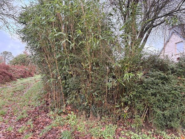 Terrain Constructible Guerlesquin 8180 m2